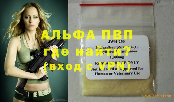 хмурый Белокуриха