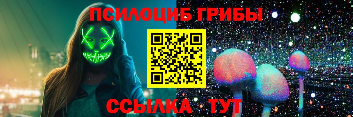 Галлюциногенные грибы GOLDEN TEACHER Богородск