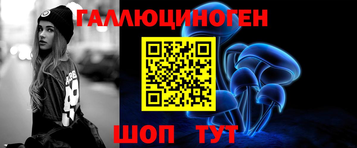 Галлюциногенные грибы Cubensis  купить  сайты  Богородск  Галлюциногенные грибы Psilocybine cubensis  Вход с VPN 